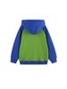 Ropa Nueva de Otoño para Niños Estilo Europeo y Americano Moderna Sudadera de Manga Larga para Niños Chaqueta Infantil con Cremallera de Coche de Dibujos Animados Suministro Transfronterizo