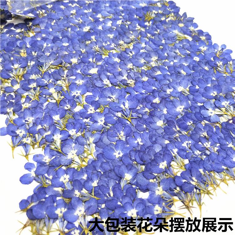 IMG20181220104728.jpg