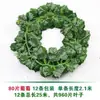 Plantas verdes artificiales, enredaderas, hojas falsas, hiedra de hoja perenne, flores de plástico, plantas trepadoras artificiales, hojas de vid, hiedra verde