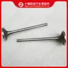Peças de motor Cummins 6CT válvula de escape 3921444 3802085 3902254