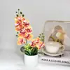 2 Garfos, 12 Flores Artificiais, Plantas em Vasos Phalaenopsis, Película com Toque Real, Flores Artificiais, Listras Verticais, Bonsai, Decoração de Casamento, Enfeites de Plantas Verdes