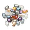 Pingente de Vidro Sinfonia 10*14mm Pingente de Vidro Cristal Peixinho Miçangas Soltas DIY Acessórios de Joalheria Feitos à Mão Atacado