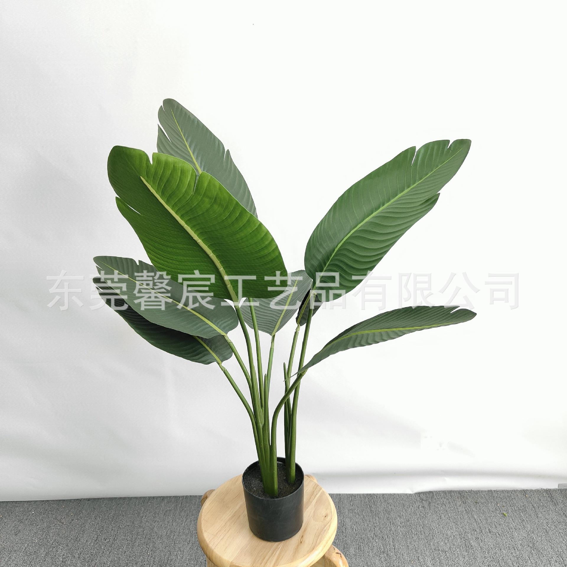 80cm 7叶