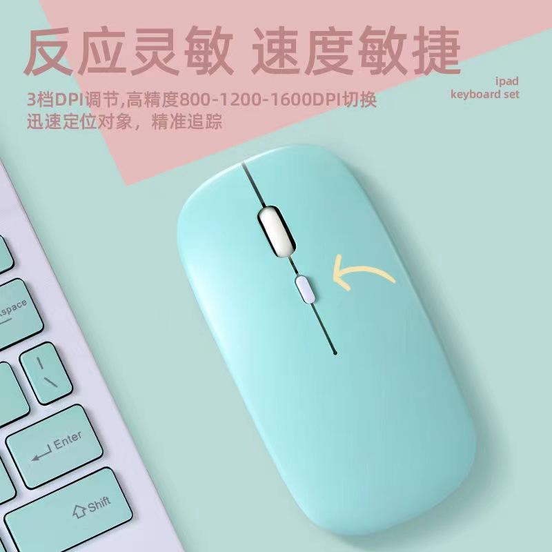 微信图片_20220927123609.jpg?x-oss-process=image/format,png