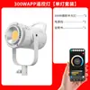 Luz de Preenchimento 300W para Transmissão ao Vivo para Streamers, Estúdio de Beleza LED Fotografia Iluminação Profissional Interna Lâmpada de Luz Suave Esférica
