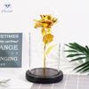 Día de la Diosa Flor Eterna Pantalla de Lámpara de Noche de Vidrio con Luz LED, Flor de Rosa Simulada, Regalo de Cumpleaños Día de la Madre, Dropshipping