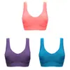 [Conjunto de tres piezas] sujetador de generación transfronteriza ropa interior para mujer sin aros yoga pecho grande pequeño doble sujetador sin costuras