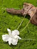 Pendientes Grandes de Flor Exagerada de Europa y América, Marca Transfronteriza Za En Stock Pendientes Metálicos Lacados Blanco Crudo, Exquisito Collar