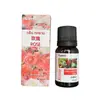 Aceite esencial de aromaterapia soluble en agua de 10 ml fragancia para humidificador de habitación de hotel transfronterizo para aceite esencial de rosa jazmín árbol de té