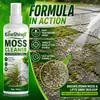 KineShineX Limpador de Musgo - Removedor de Musgo de Superfícies de Estrada e Pedras - Agente de Limpeza com Decomposição Rápida de Manchas de Algas e Mofo