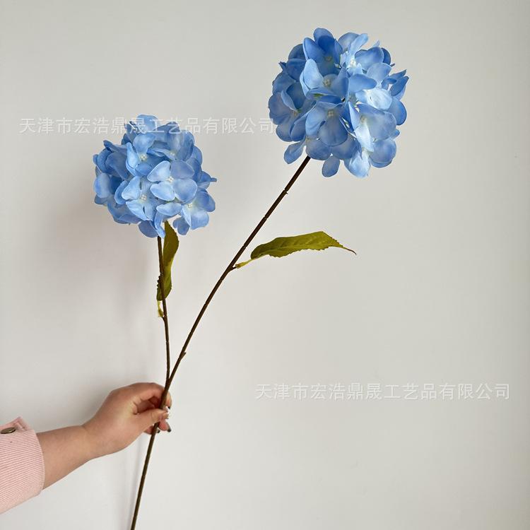 微信图片_202303211636144_副本