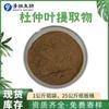 Extracto de Hoja de Eucommia Ulmoides 10:1 Polvo de Hoja de Eucommia Ulmoides Soluble en Agua Ácido Clorogénico de Eucommia Ulmoides 5% A partir de 1 kg