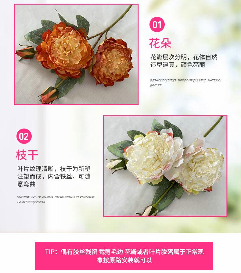 产品细节2-最终.jpg
