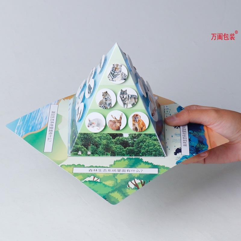 儿童玩具科学实验食物链金字塔手工diy科技小制作生物纸盒批发