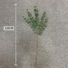 5 manojos de horquilla eucalipto flor artificial decoración del hogar flor no tejida hoja de dólar flor de comercio exterior fábrica mayorista