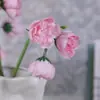 Pequeño Ramo Artificial de Rosas 27 Cabezas de Flores Pequeña Peonía Artificial Flor de Fotografía Accesorios Ramo de Novia Muebles para el Hogar