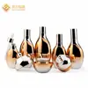 En stock venta directa Haimi marca grande mismo estilo Serie Dorada loción acuosa botella plana paquete de cosmético nuevo material de embalaje de vidrio