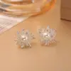 Populares aretes de perla tipo fuegos artificiales deslumbrantes, de alta gama, a la moda, exquisitos, versátiles, aretes elegantes, accesorios de moda para celebridades de internet