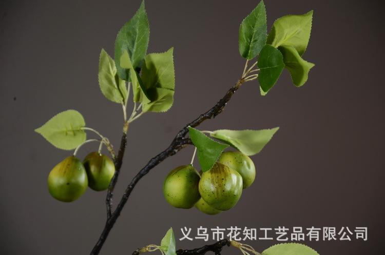 3-6绿色欧罗梨子..JPG
