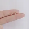 Pendientes de Plata de Ley 925 Estilo Nuevo Primavera Verano Pequeños Celebridad de Internet Douyin Más Vendidos Pendiente Simple Moderno Estudiante Mujer Noche