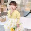 Huzhou Zhili Comercio Exterior al por Mayor Colección Primavera 2026 Ropa Infantil Camiseta de Manga Abullonada Falda de Lunares Conjunto de Vestido de Princesa
