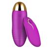 Carregamento USB Elfo Dançante Controle Remoto Sem Fio Dispositivo de Masturbação Feminina Flertando Produtos Adultos Dropshipping