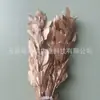 Arranjo de flores eternas folha laranja com ramos de folhagem, materiais florais DIY com toque de alta qualidade, atacado de fabricante de Yunnan, decoração de flores eternas