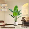 Ave del Paraíso Planta Verde Artificial Flor Biónica de Lujo Ligero Adorno Decorativo de Árbol Falso en Maceta Grande para Interiores para Sala de Estar