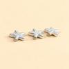 Plata Esterlina S925 Estrella de Mar Cuentas de Plata Lisa Accesorios de Joyería de Plata DIY Cuerda Trenzada Cuentas de Cristal Cuentas Espaciadoras Accesorios