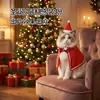 Set de Capa y Sombrero Navideño para Mascotas con Encaje y Lazo, Disfraz Festivo para Gatos y Perros, Accesorios para Fotos Navideñas
