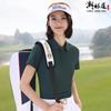 Camisa polo funcional de punto Dongli ropa de trabajo personalizada cuello solapa publicidad camisa cultural antiincrustante ropa de fábrica logo impreso bordado