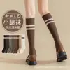 Meias Compressivas Femininas de Algodão para Afinar Panturrilha, Meias Longas de Cano Cinza para Primavera e Outono, Meias Longas de Meia-Panturrilha com Forro de Lã para Outono e Inverno