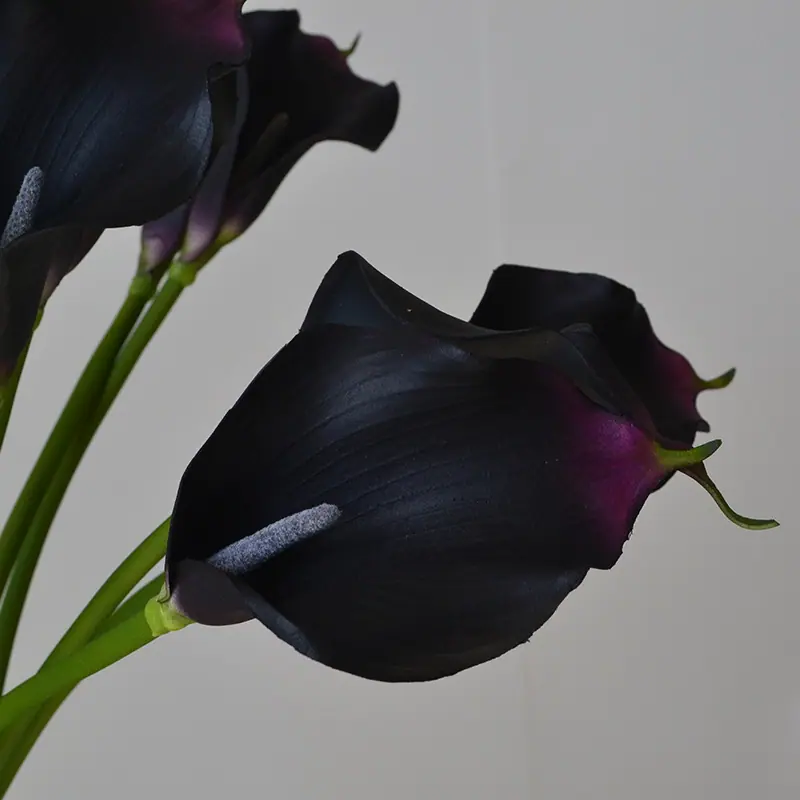DSC_0748.jpg