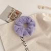 Diadema de felpa para otoño e invierno, anillo para el intestino grueso, nueva diadema dulce para mujer, simple, combinable, linda tocado para niña, cuerda para el cabello