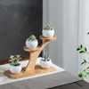 Soporte para plantas suculentas de alféizar, estante decorativo de bambú multicapa para mesa interior de balcón, soporte grande para plantas con diseño de rama de árbol