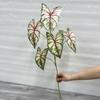 A flor artificial nova de 23 anos de idade verde escuro verde claro hortênsia rosa casamento arranjo de flores decoração estrada chumbo arranjo de flores embelezamento arte floral