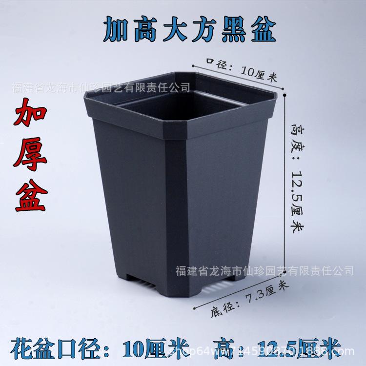 大黑加高盆.jpg