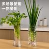 Florero de Plástico de Alta Transparencia Anticaídas para Arreglo Floral Hidropónico, Bambú de la Fortuna, Decoración Cuadrada Transparente para Sala de Estar, Dormitorio Pequeño, Entrada