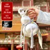 Bule de Vidro Cabaça Transparente Bule para Cold Brew Criativo Estilo Chinês Garrafa para Chá Verde Cold Brew Fermentação de Vinho Exquisito Conjunto de Chá Doméstico
