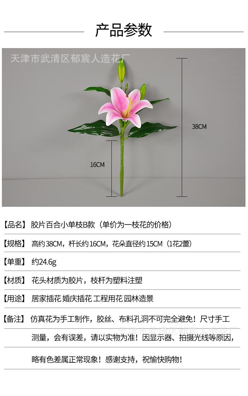 详情_01.jpg