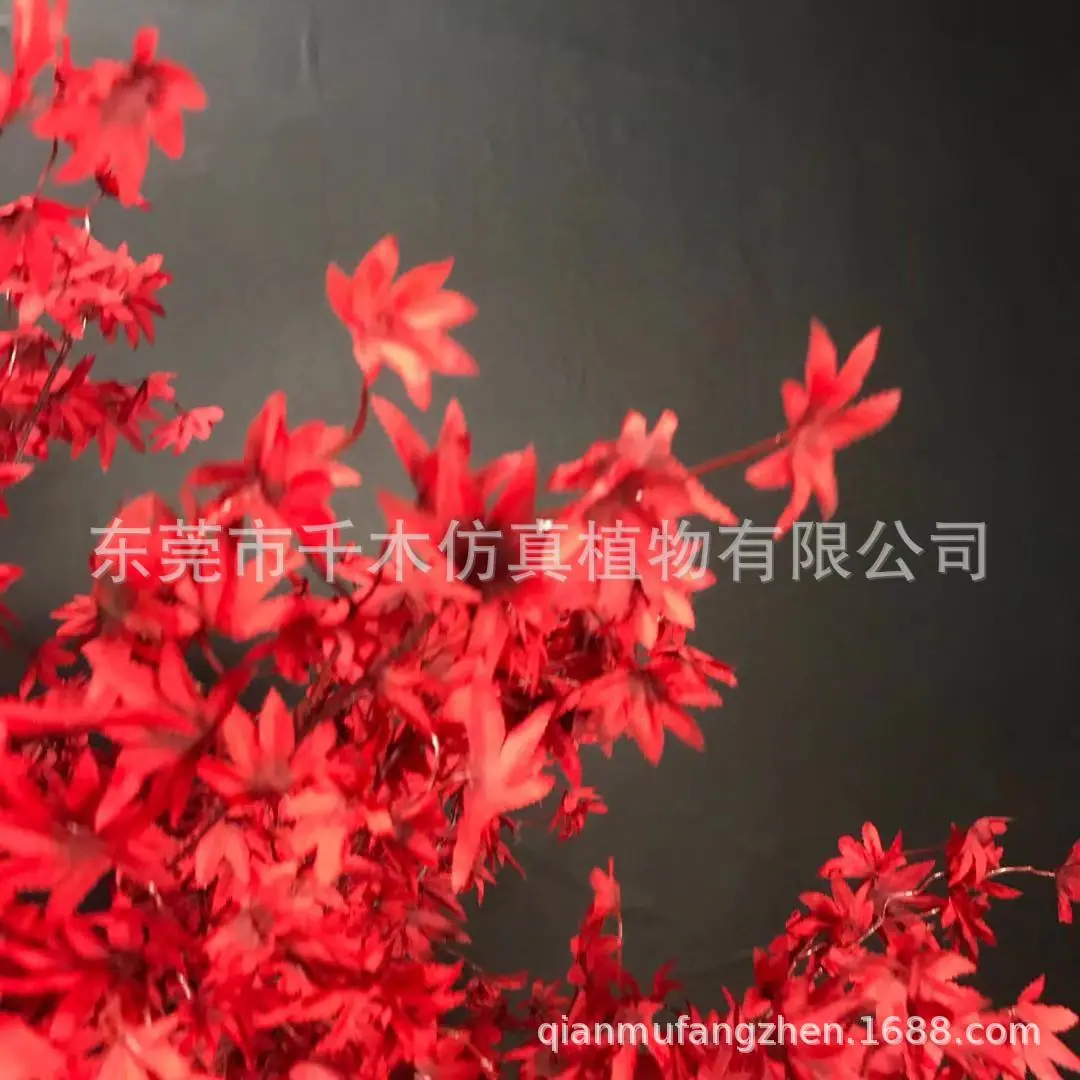 微信图片_201911131149423