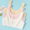 Chaleco pequeño para niña de 6-12 años algodón puro ropa interior de niña período de desarrollo estudiantes de primaria 8-12 años ropa interior de niña