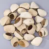 Materiais para Sino de Vento com Casca de Fruta Natural Atacado Acessível Cor Original Casca de Fruta Sino de Vento para Boneca DIY Estudante Materiais em Atacado