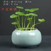 Vaso de Cerâmica Geyao cerâmica rachada hidropônico pequeno vaso de flor sem furos vaso de flor recipiente para planta verde pequeno fresco vaso de flor de mesa liquidação