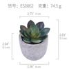 Bonsai de Polpa de Suculenta Combinação de Plantas Suculentas em Vaso 3Es0853-1 Plantas Verdes Exclusivamente para Fornecimento Transfronteiriço