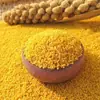 Primer Pedido 2.5kg Mijo Amarillo del Noreste Nuevo Cultivo Mijo Oleaginoso para Gachas Mijo Chaoyang Arroz para Bebé Arroz Postparto