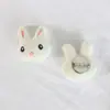 Broche Coelho Cenoura de Pelúcia Fofo Coelho MengMeng Coelho Coelho Branco Acessórios Bolsa Chapéu Roupas Acessórios