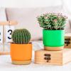 Resina Plástico Ecológico Vaso Pequeno para Flores Vaso Preguiçoso Automático Absorvente de Água Armazenamento de Água Redondo Camada Dupla Suculenta Pothos Planta Verde Vaso de Flores