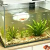 Escondite de peces con ventosa en forma de nube, refugio hueco para camarones de concha negra, escondite de plástico para cría de peces y camarones para paisajismo de acuarios