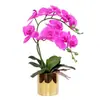 Phalaenopsis maceta individual individual 3D decoración hidratante flor flor artificial plástico decoración de sala de estar flor escritorio
